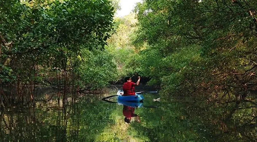 Kayaking At Naturecraft Adventures, Goa